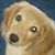 Jack Grey's profile image
