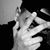 Bruno Inacio's profile image