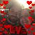 Erica Haworth's profile image