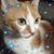 Jackie Taylor Boyd's profile image