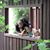 Amy Leigh Brown Rennie's profile image