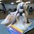 Julie Brenenstall Burns's profile image