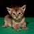 Pat Walz's profile image