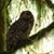 Josiah Legler's profile image