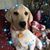 Judith Morrison's profile image