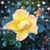 Kerry L. Dorsey's profile image