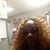 Yolanda Autrey-Keen's profile image