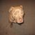 Leora Chronister's profile image
