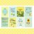Debbie Mayer Bentley's profile image