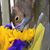 Kelly Wicks Mintz's profile image