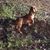 Susan Barlow Wesson's profile image