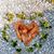 Karen Corter's profile image