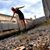 Gretchen Robinette's profile image