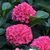 Rhonda Robinson's profile image