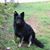 Irene Gillespie's profile image