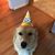 Helen Allinder's profile image