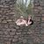 Mary Miller-Killian's profile image