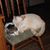 Tracy Johnston's profile image
