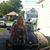 Marcie Swiderski Morrella's profile image