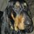 Stepheni Sapka's profile image