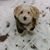 Peter Wandy Miele's profile image