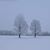 Elaine J. Hughes's profile image