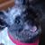 Megan Fisher Cloud's profile image