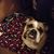 Christopher Miller's profile image