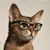 Matthew Dunn's profile image