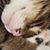 Gina Marie's profile image