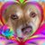 Martinez Blanca's profile image