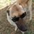 Geoff Schecht's profile image