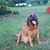 Linda McCullough's profile image