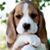 Carol Anderson's profile image