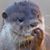 Rob Palmer's profile image