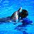 Pang Chi Fung Javan's profile image