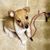 Dawna Walker's profile image
