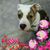 Michelle Ehlert's profile image