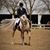 Kelly Roush Peine's profile image