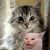 Candy Pederson's profile image