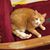 Charleen Buncic's profile image