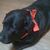 Karen Boling's profile image