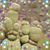 Melissa Kniskern's profile image