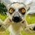 Bret Simpson's profile image