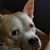 Karen Kratosky Spidle's profile image