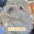 Beth Adams's profile image