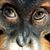 Kelly Rittenhouse Pomerville's profile image