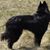 Baudouin Hawkes's profile image