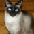 June Smith's profile image