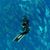 Max Agosti's profile image